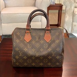 Louis Vuitton Speedy 30 Handbag